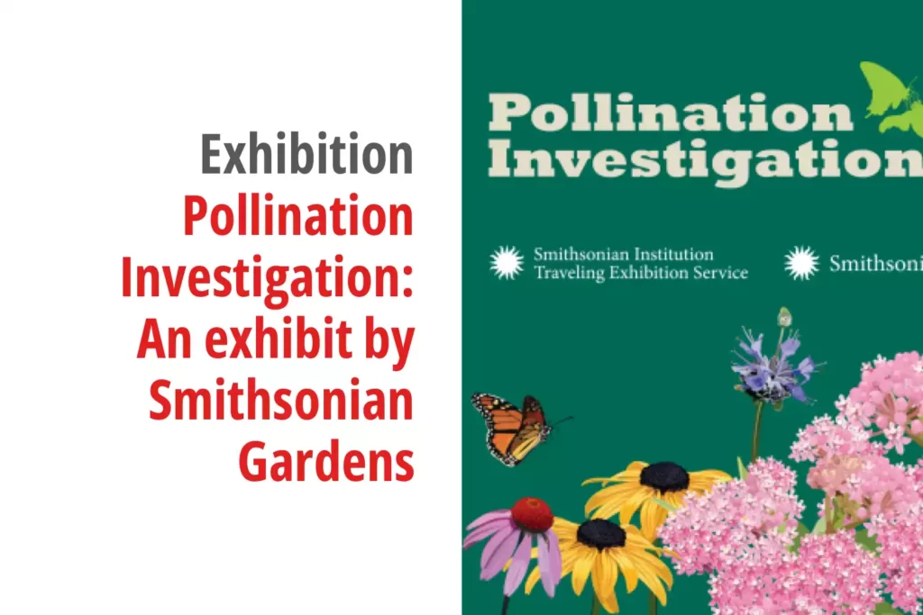 Graphic for the exhibition titled Pollination Investigation