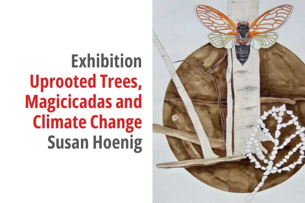Graphic for the exhibition titled Uprooted Trees, Magicicadas and Climate Change