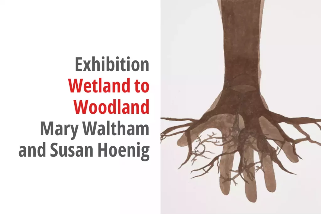 Graphic for the exhibition titled Wetland to Woodland