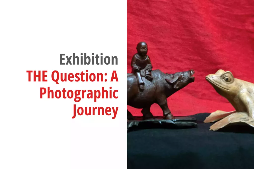 Graphic for the exhibition titled THE Question: A Photographic Journey