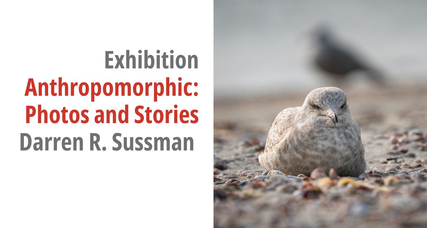 Graphic for the exhibition titled Anthropomorphic: Photos and Stories