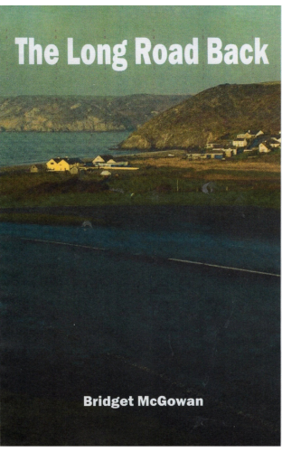 Image of the cover of The Long Road Back.