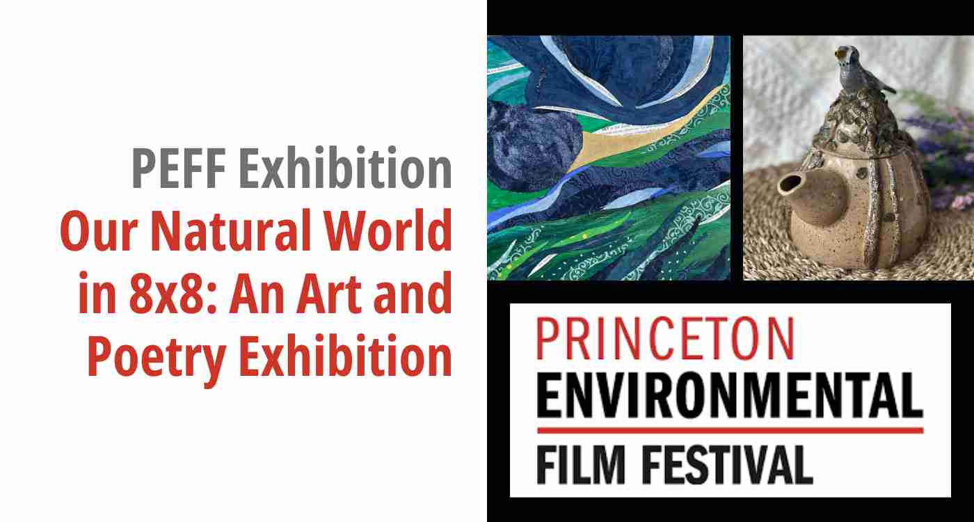 PEFF Exhibition slide for "Our Natural World in 8x8"