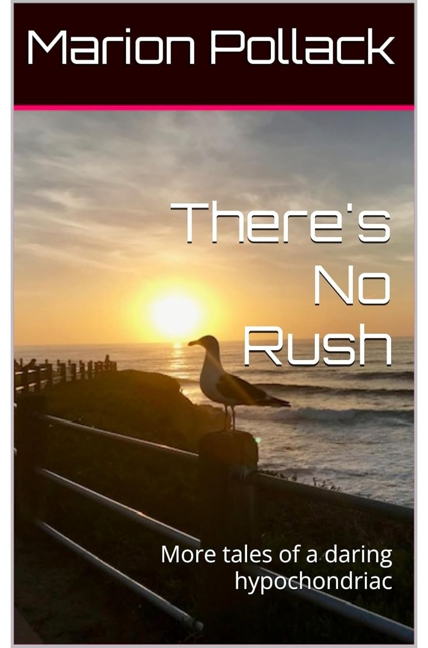 Book cover image for There's No Rush