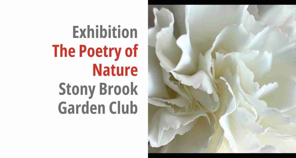 Graphic showing the exhibition's title and the organization responsible.